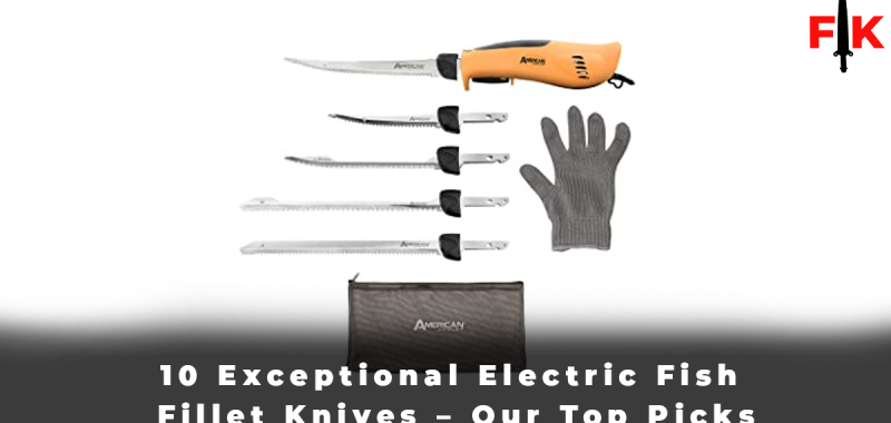10 Exceptional Electric Fish Fillet Knives – Our Top Picks